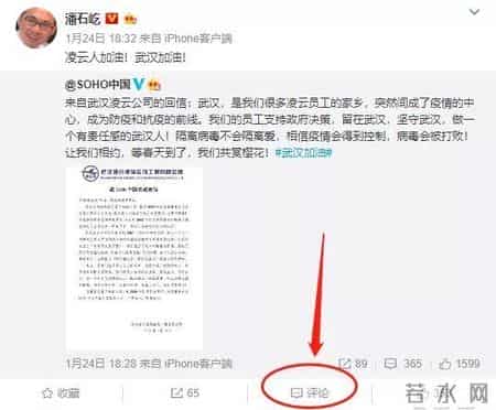 潘石屹父子说了什么,潘石屹 子