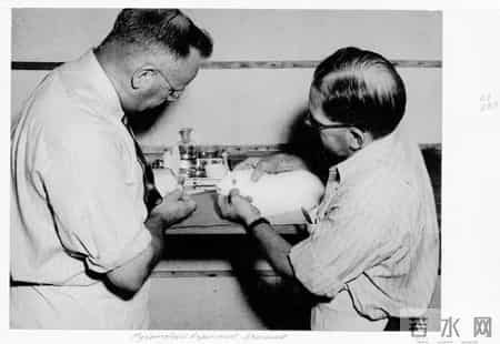 梅 安德森,梅·安德森