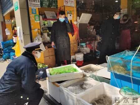 豪猪销售,还在违法销售黑斑蛙、豪猪？查！上海公布一批野生动物保护案件