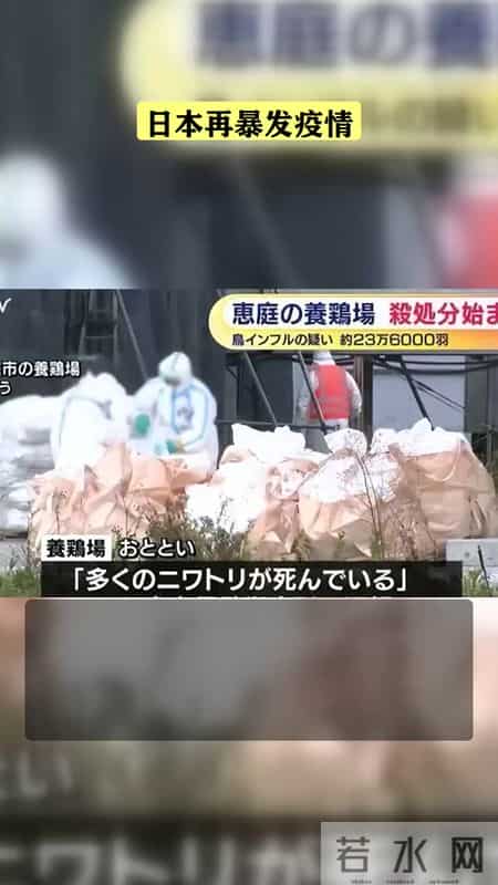 日本疫情消退是因病毒自我消亡-,日本疫情突然消停