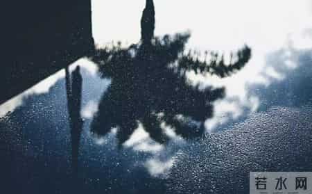 橡根,橡根是松紧带吗