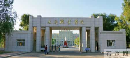 竺延风去向,竺延风能力