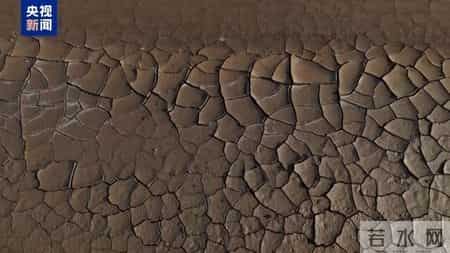 未来5年或出现有记录以来最暖年份,世界气象组织：五年内大概率再迎“最暖年份”