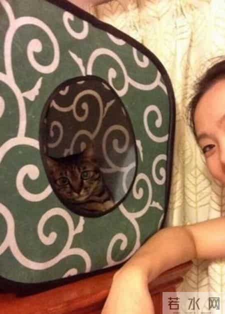 台湾强震来袭时水豚淡定自如,台湾水灾2020