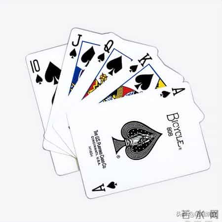 姚记,姚记捕鱼官方下载官网官方版