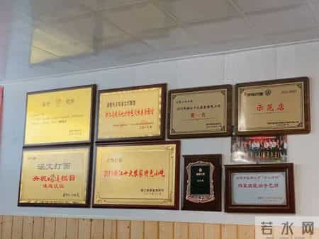 诸暨凯翔,杭州0.5h度假圈，我首推这个有1300家面馆的小县城