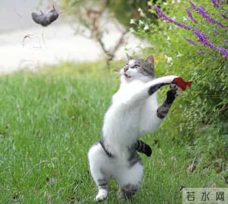 邋遢大王,邋遢大王奇遇记