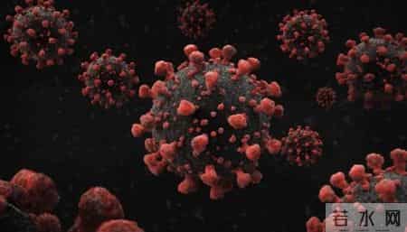 蝙蝠屎,科学家在蝙蝠上新发现6种冠状病毒，其粪便或为重要传播途径