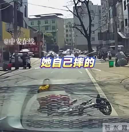 争议,争议事实和理由怎么写