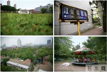 竺延风去向,竺延风能力