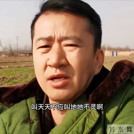 网络红人小月月,一个贪财一个好色？老夫少妻的“残酷”，在42岁李嘉明身上应验了