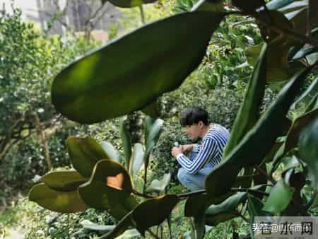 废弃厂房里的“卖肾”交易：买肾人花55万，卖肾人得4.5万