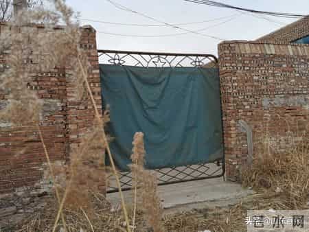 废弃厂房里的“卖肾”交易：买肾人花55万，卖肾人得4.5万