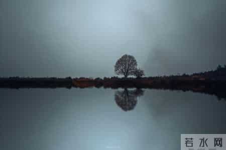 阅读经典是在深沉的寂静中聆听心灵的呼声