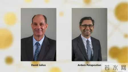 最新诺奖得主，为抗击新冠赢出宝贵时间