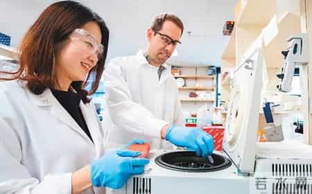 美国赶走大批中国科学家后，聘用了印度专家，结果如何？