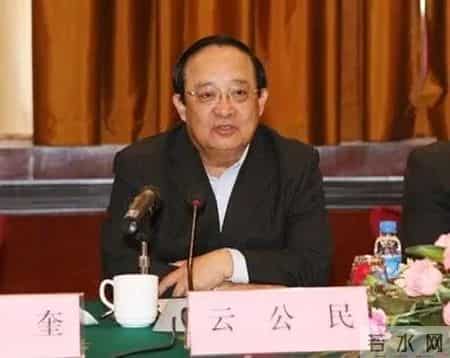 申维辰被查内幕