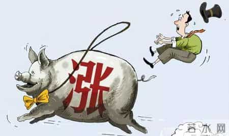 一场悬而未决的中国猪业革命