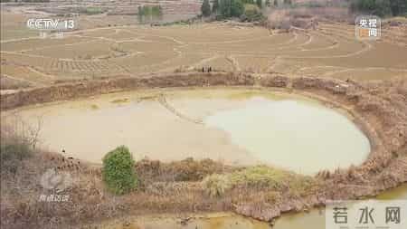 低风险地区人员凭绿码可自由通行