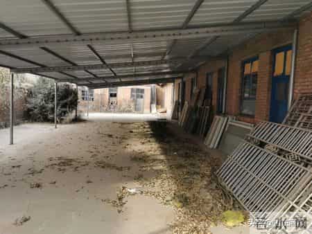 废弃厂房里的“卖肾”交易：买肾人花55万，卖肾人得4.5万