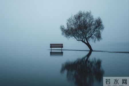 阅读经典是在深沉的寂静中聆听心灵的呼声