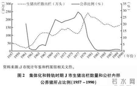一场悬而未决的中国猪业革命