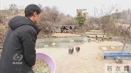 低风险地区人员凭绿码可自由通行