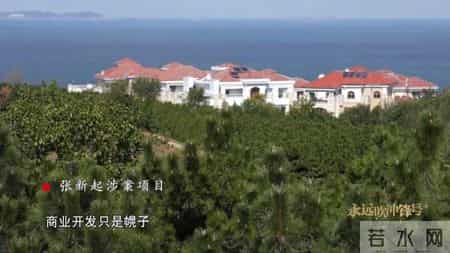 受贿1.55亿，无期徒刑！给孙子孙女买高档别墅的“种树市长”判了