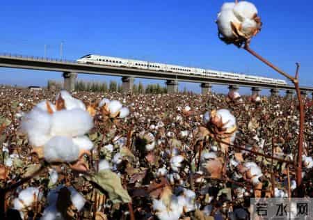 耐克被无期限下架？阿迪达斯、优衣库被“爆”上热搜！终止合作一个接一个