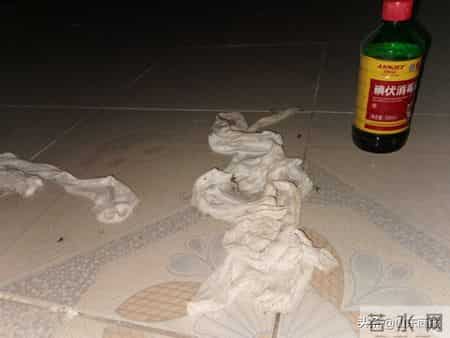 废弃厂房里的“卖肾”交易：买肾人花55万，卖肾人得4.5万