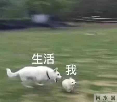微博抽奖不过滤