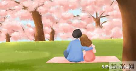 感觉不会再爱了