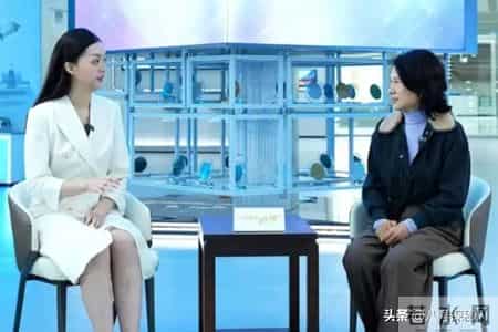 2013中国经济年度人物颁奖盛典