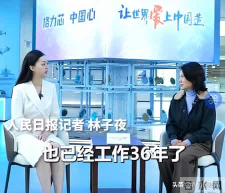 2013中国经济年度人物颁奖盛典