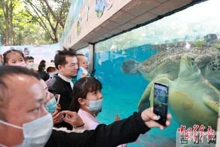 新冠“乙类乙管”满月记