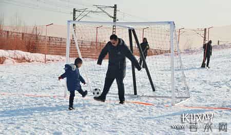 小雪球,小雪球狗是啥品种