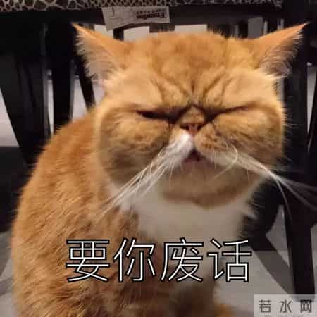 pi,pin码是什么意思