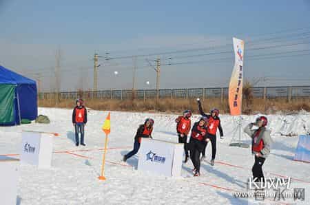 小雪球,小雪球狗是啥品种