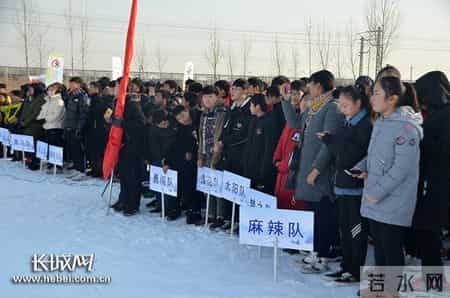 小雪球,小雪球狗是啥品种
