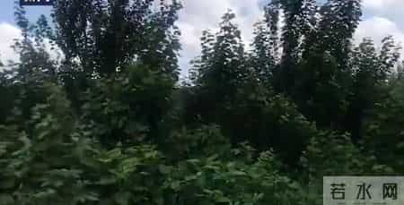 田长录,田长录个人信息