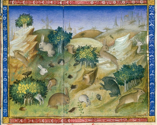 加斯东·费布斯的《狩猎》中描绘的兔子，该书著于14世纪80年代末，插图绘于20年后。.jpg