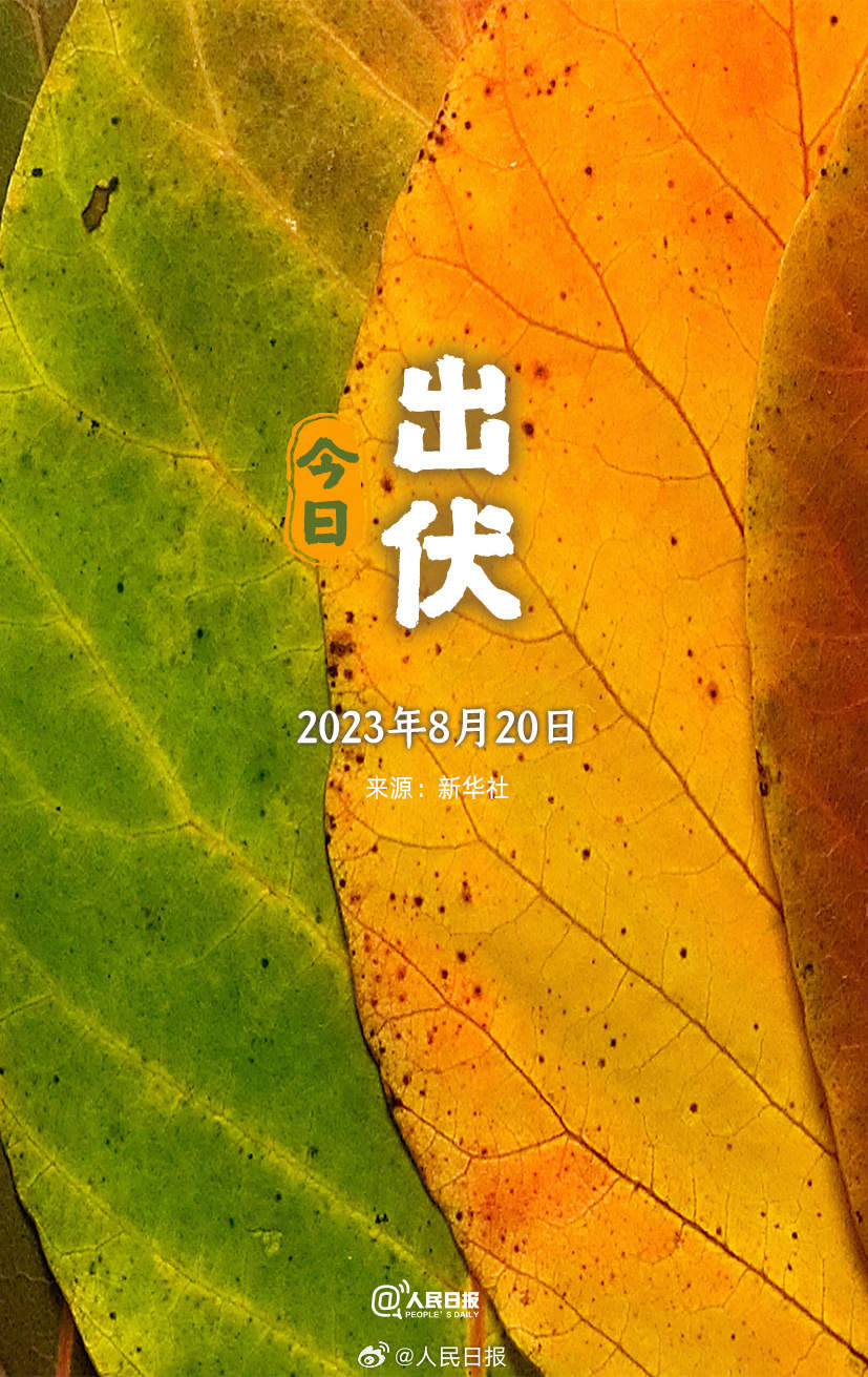 5.jpgx-oss-process=style/w10