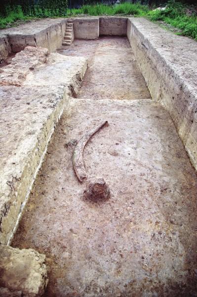 7131333301506084285 (1).jpg 7131333301506084285 (1).jpg