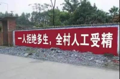 计划生育与国家权力转型