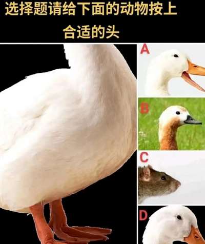 鸭脖就是鼠头，鼠头就是鸭脖，蒸馍，你不扶器？