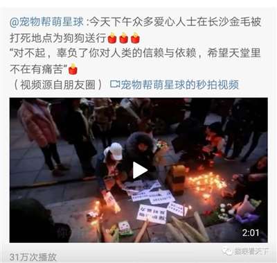 极端狗奴们为何再次集体沉默不语了？