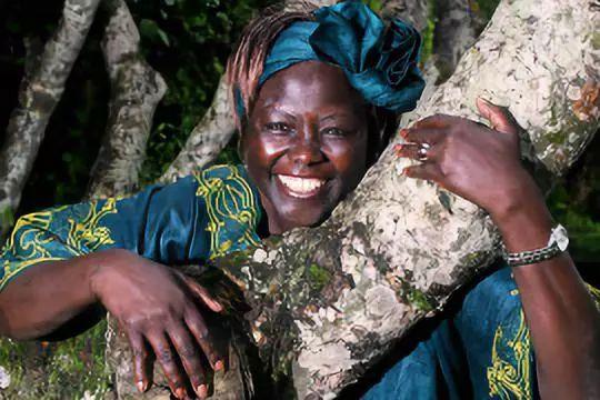 诺贝尔和平奖：重新定义和平，拉低含金量