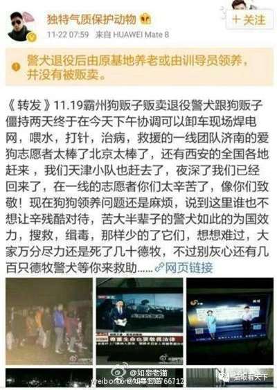 极端狗奴们为何再次集体沉默不语了？