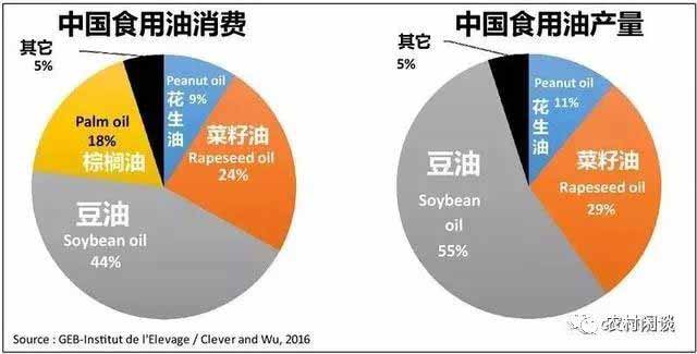 中国粮食的进口依赖