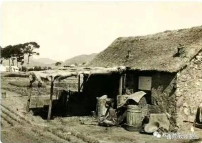 《杜鹃花落》事件的关键问题何在？